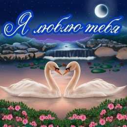 Люблю тебя Открытки для любимых. Открытки с надписью - я люблю тебя! Люблю.