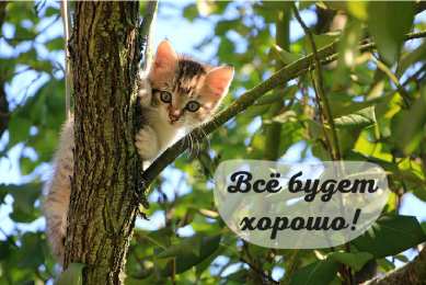 Открытки Всё будет хорошо! Открытки - всё будет хорошо! Приободрить словами - всё будет хорошо! Открытки - всё будет хорошо! Приободрить словами - всё будет хорошо! Красивые открытки смотреть онлайн бесплатно. Поднять настроение родным и близким. Всё будет хорошо!