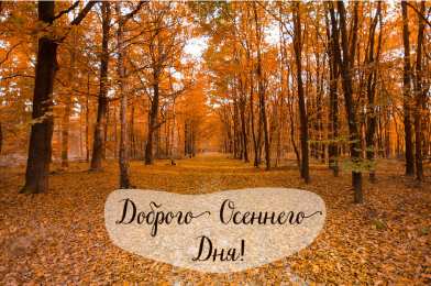 Открытки Осень Открытки на осень. Осенние открытки. С осенью поздравления.  Открытки на осень. Осенние открытки. С осенью поздравления. Красивые открытки смотреть онлайн бесплатно. Хорошего осеннего дня и осеннего утра. Осенние открытки для близких.