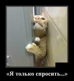 Демотиваторы Открытки демотиваторы. Прикольные открытки в демотиваторах. 