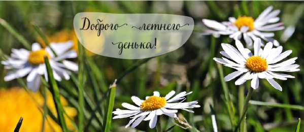 Лето Открытки на лето. Пожелания хороших летних дней. Летние открытки.