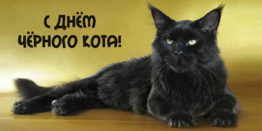 День черного кота Открытки с поздравлениями ко Дню чёрного кота. С Днём чёрного кота!