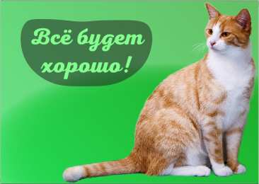 Открытки Всё будет хорошо! Открытки - всё будет хорошо! Приободрить словами - всё будет хорошо! Открытки - всё будет хорошо! Приободрить словами - всё будет хорошо! Красивые открытки смотреть онлайн бесплатно. Поднять настроение родным и близким. Всё будет хорошо!