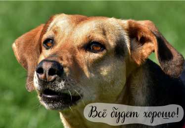 Открытки Всё будет хорошо! Открытки - всё будет хорошо! Приободрить словами - всё будет хорошо! Открытки - всё будет хорошо! Приободрить словами - всё будет хорошо! Красивые открытки смотреть онлайн бесплатно. Поднять настроение родным и близким. Всё будет хорошо!