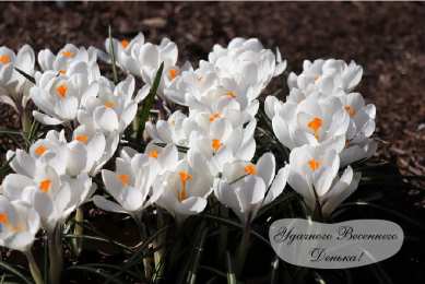 Открытки Весна Открытки на весну. Весенние открытки. Весенние пожелания на каждый день. Открытки на весну. Весенние открытки. Весенние пожелания на каждый день. Красивые открытки смотреть онлайн бесплатно. Весеннее настроение и пожелание хорошего дня.