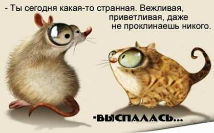 Прикольные открытки с животными Открытки с животными. Прикольные открытки с животными. Юмор и животные.
