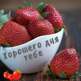 Хорошего дня Открытки с надписью - хорошего дня! Открытки на каждый день.