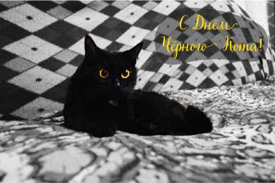 День черного кота Открытки с поздравлениями ко Дню чёрного кота. С Днём чёрного кота!