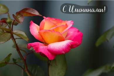 Открытки Именины Открытки на Именины. Поздравления с Именинами в открытках. Именины. Открытки на Именины. Поздравления с Именинами в открытках. Именины. Красивые открытки смотреть онлайн бесплатно. Поздравить с Именинами родных. День Именин поздравление.