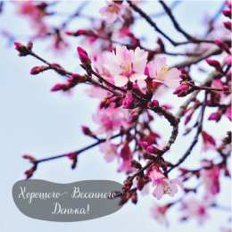 Открытки Весна Открытки на весну. Весенние открытки. Весенние пожелания на каждый день. Открытки на весну. Весенние открытки. Весенние пожелания на каждый день. Красивые открытки смотреть онлайн бесплатно. Весеннее настроение и пожелание хорошего дня.