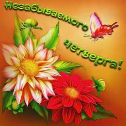 Удачного четверга Открытки с пожеланием удачного четверга. Открытки на четверг.