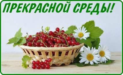 Удачной среды Открытки на среду скачать. Открытки на среду с пожеланиями бесплатно.