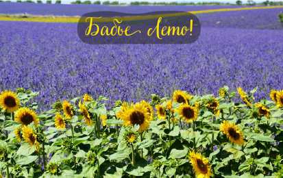 Бабье лето Открытки с поздравлениями на Бабье Лето. С Бабьим Летом! Праздник.