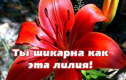 Открытки Оценки Открытки с положительными оценками. Открытки с оценками (молодец, красиво). Открытки с положительными оценками. Открытки с оценками (молодец, красиво). Красивые открытки смотреть онлайн бесплатно. Положительные оценки - красавица, молодец, мне нравится.