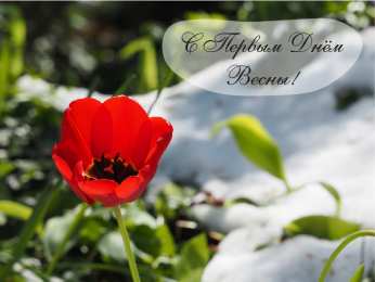 Открытки Первый день весны Открытки с поздравлениями с первым днём весны. Первый день весны. Открытки с поздравлениями с первым днём весны. Первый день весны. Красивые открытки смотреть онлайн бесплатно. Открытки с первым днем весны. Приятные пожелания.