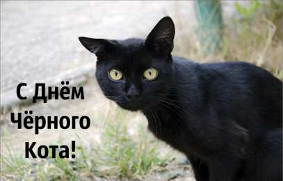 День черного кота Открытки с поздравлениями ко Дню чёрного кота. С Днём чёрного кота!