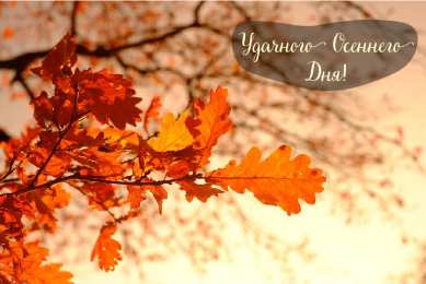 Открытки Осень Открытки на осень. Осенние открытки. С осенью поздравления.  Открытки на осень. Осенние открытки. С осенью поздравления. Красивые открытки смотреть онлайн бесплатно. Хорошего осеннего дня и осеннего утра. Осенние открытки для близких.