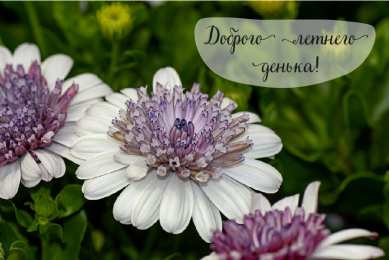 Лето Открытки на лето. Пожелания хороших летних дней. Летние открытки.