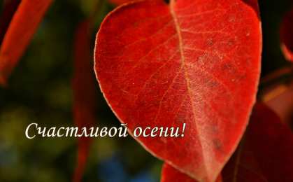 Открытки Осень Открытки на осень. Осенние открытки. С осенью поздравления.  Открытки на осень. Осенние открытки. С осенью поздравления. Красивые открытки смотреть онлайн бесплатно. Хорошего осеннего дня и осеннего утра. Осенние открытки для близких.