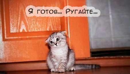 Прикольные открытки с животными Открытки с животными. Прикольные открытки с животными. Юмор и животные.