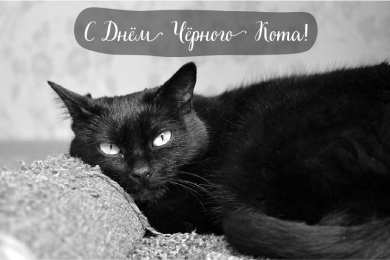 День черного кота Открытки с поздравлениями ко Дню чёрного кота. С Днём чёрного кота!