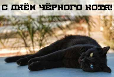 День черного кота Открытки с поздравлениями ко Дню чёрного кота. С Днём чёрного кота!