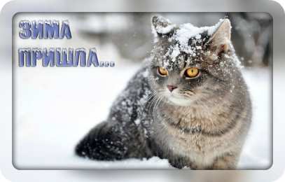 Открытки Зима Открытки на зиму. Зимние открытки на каждый день. Зимние поздравления. Открытки на зиму. Зимние открытки на каждый день. Зимние поздравления. Красивые открытки смотреть онлайн бесплатно. Открытки с зимним утром и зимним днём. Хорошей зимы.