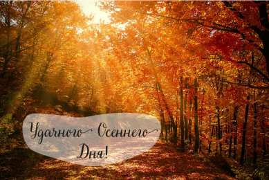 Открытки Осень Открытки на осень. Осенние открытки. С осенью поздравления.  Открытки на осень. Осенние открытки. С осенью поздравления. Красивые открытки смотреть онлайн бесплатно. Хорошего осеннего дня и осеннего утра. Осенние открытки для близких.