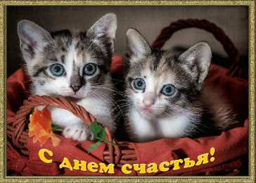 С Днём счастья Открытки с поздравлениями ко Дню счастья. С Днём счастья открытки.