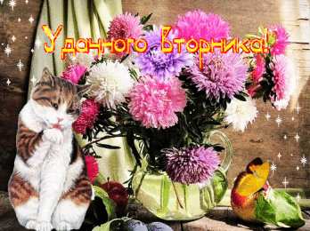 Удачного вторника Открытки с пожеланием удачного вторника. Хорошего вторника. 