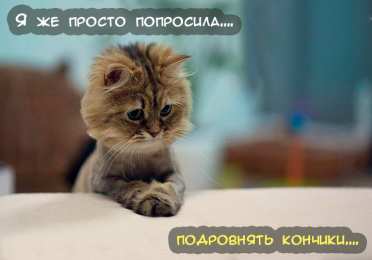 Прикольные открытки с животными Открытки с животными. Прикольные открытки с животными. Юмор и животные.