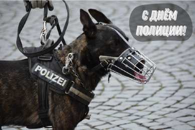 Открытки День полиции Открытки с поздравлениями ко Дню полиции. С Днём полиции открытки. Открытки с поздравлениями ко Дню полиции. С Днём полиции открытки. Красивые открытки смотреть онлайн бесплатно. Поздравления на День полиции. Поздравить полицейских.