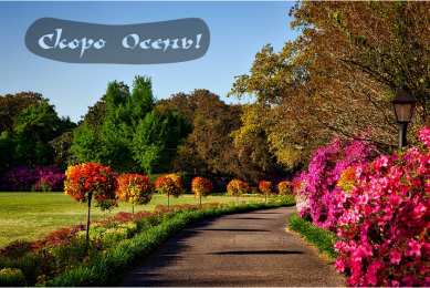 Открытки Скоро осень Открытки в преддверии осени. Скоро осень поздравления. Осень близко. Открытки в преддверии осени. Скоро осень поздравления. Осень близко. Красивые открытки смотреть онлайн бесплатно. Скоро осень открытки в преддверии осени. Осень.