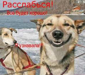 Открытки Всё будет хорошо! Открытки - всё будет хорошо! Приободрить словами - всё будет хорошо! Открытки - всё будет хорошо! Приободрить словами - всё будет хорошо! Красивые открытки смотреть онлайн бесплатно. Поднять настроение родным и близким. Всё будет хорошо!