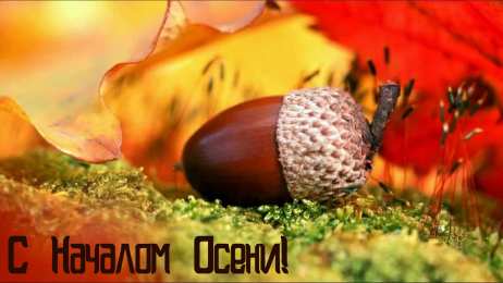 Открытки С началом осени Открытки с поздравлениями с началом осени. Начало осени открытки. Открытки с поздравлениями с началом осени. Начало осени открытки. Красивые открытки смотреть онлайн бесплатно. Поздравления с началом осени для родных и близких.