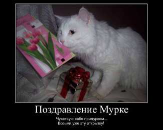 Демотиваторы Открытки демотиваторы. Прикольные открытки в демотиваторах. 