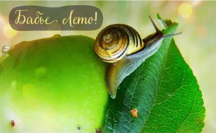 Бабье лето Открытки с поздравлениями на Бабье Лето. С Бабьим Летом! Праздник.