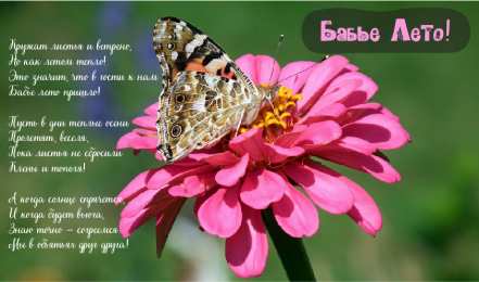 Бабье лето Открытки с поздравлениями на Бабье Лето. С Бабьим Летом! Праздник.