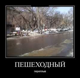 Демотиваторы Открытки демотиваторы. Прикольные открытки в демотиваторах. 