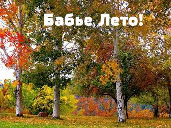 Бабье лето Открытки с поздравлениями на Бабье Лето. С Бабьим Летом! Праздник.