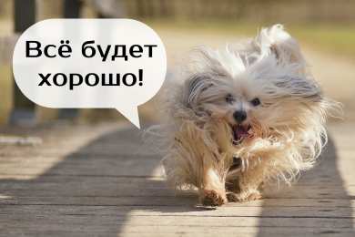 Открытки Всё будет хорошо! Открытки - всё будет хорошо! Приободрить словами - всё будет хорошо!  Открытки - всё будет хорошо! Приободрить словами - всё будет хорошо! Красивые открытки смотреть онлайн бесплатно. Поднять настроение родным и близким. Всё будет хорошо!