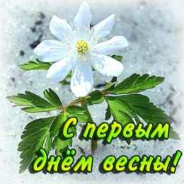 Открытки Первый день весны Открытки с поздравлениями с первым днём весны. Первый день весны. Открытки с поздравлениями с первым днём весны. Первый день весны. Красивые открытки смотреть онлайн бесплатно. Открытки с первым днем весны. Приятные пожелания.