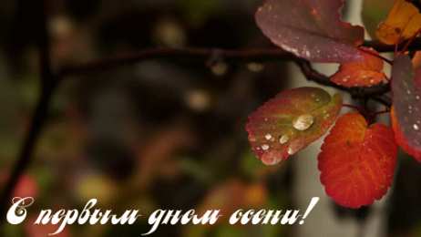 Открытки С началом осени Открытки с поздравлениями с началом осени. Начало осени открытки. Открытки с поздравлениями с началом осени. Начало осени открытки. Красивые открытки смотреть онлайн бесплатно. Поздравления с началом осени для родных и близких.