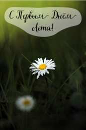 Открытки Первый день лета Открытки с поздравлениями с первым днём лета. Первый день лета. Открытки с поздравлениями с первым днём лета. Первый день лета. Красивые открытки смотреть онлайн бесплатно. Открытки к первому дню лета. Пожелания хорошего лета.