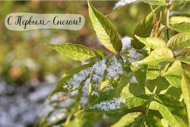 Открытки Первый снег Открытки к первому снегу. Поздравления с первым выпавшим снегом. Открытки к первому снегу. Поздравления с первым выпавшим снегом. Красивые открытки смотреть онлайн бесплатно. Первый снег поздравления для родных и близких. С первым снегом!