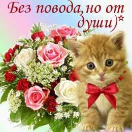 Просто так Открытки с цветами и надписью - просто так! Открытки для женщин.