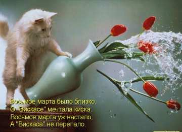 Прикольные открытки с животными Открытки с животными. Прикольные открытки с животными. Юмор и животные.