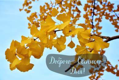 Открытки Осень Открытки на осень. Осенние открытки. С осенью поздравления.  Открытки на осень. Осенние открытки. С осенью поздравления. Красивые открытки смотреть онлайн бесплатно. Хорошего осеннего дня и осеннего утра. Осенние открытки для близких.