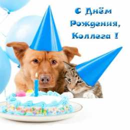 С Днём рождения коллеге Открытки с поздравлением на День Рождения коллеге. Открытки коллеге.