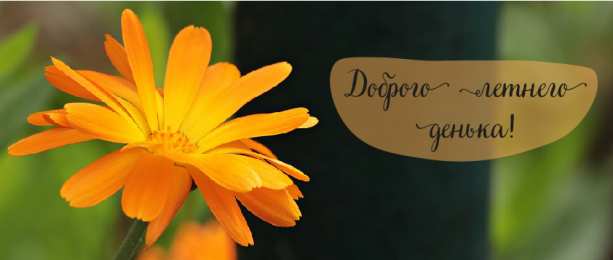 Лето Открытки на лето. Пожелания хороших летних дней. Летние открытки.